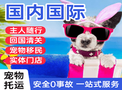 承德普宁航空邮寄国际宠物托运 【国